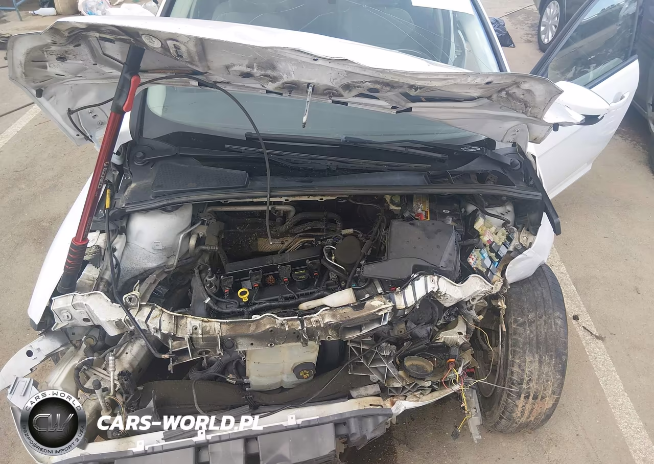 2014 Ford Focus Se VIN:1FADP3F26EL145322 - 10
