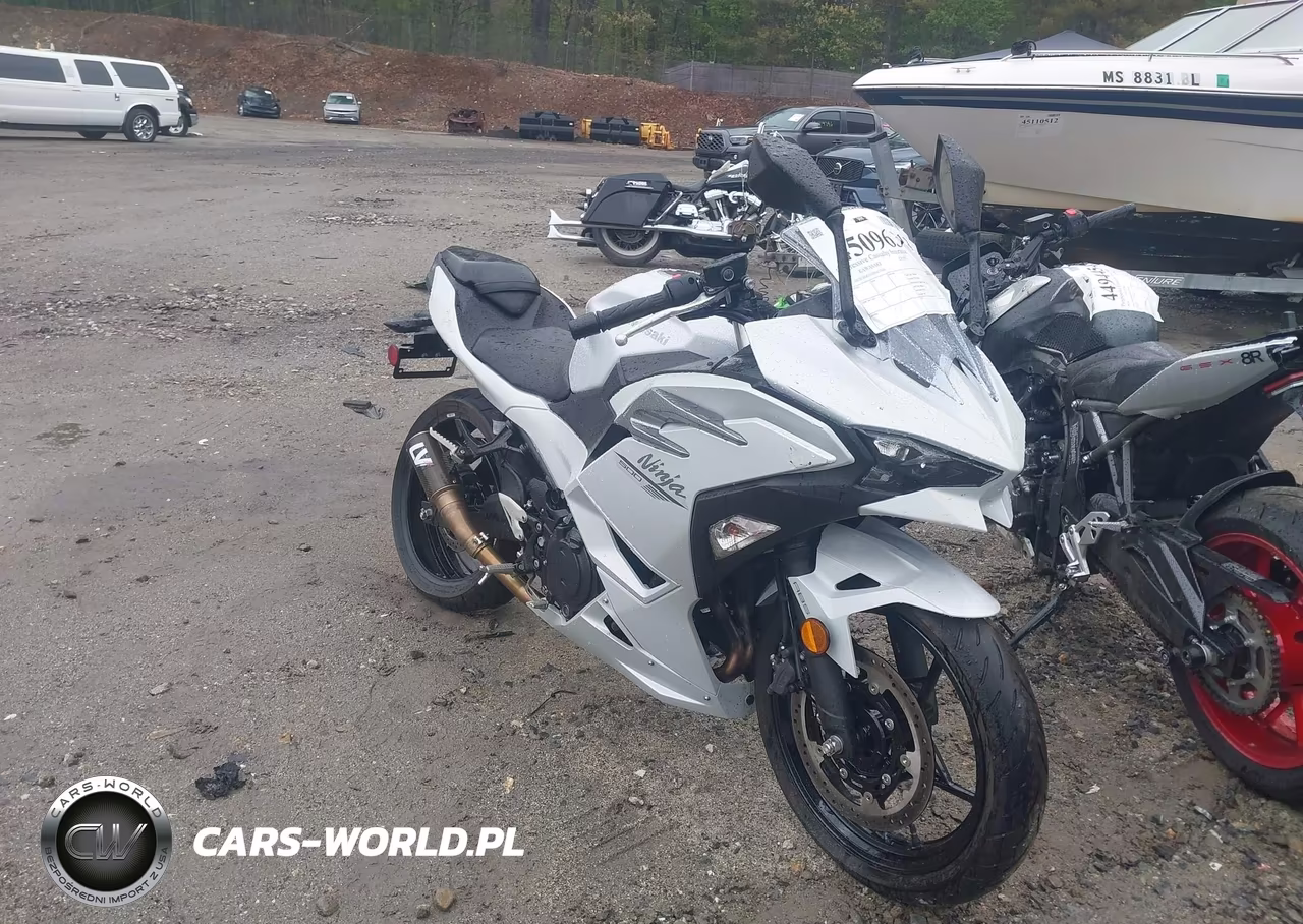 2025 Kawasaki Ex500 – zdjęcie 1 z 18