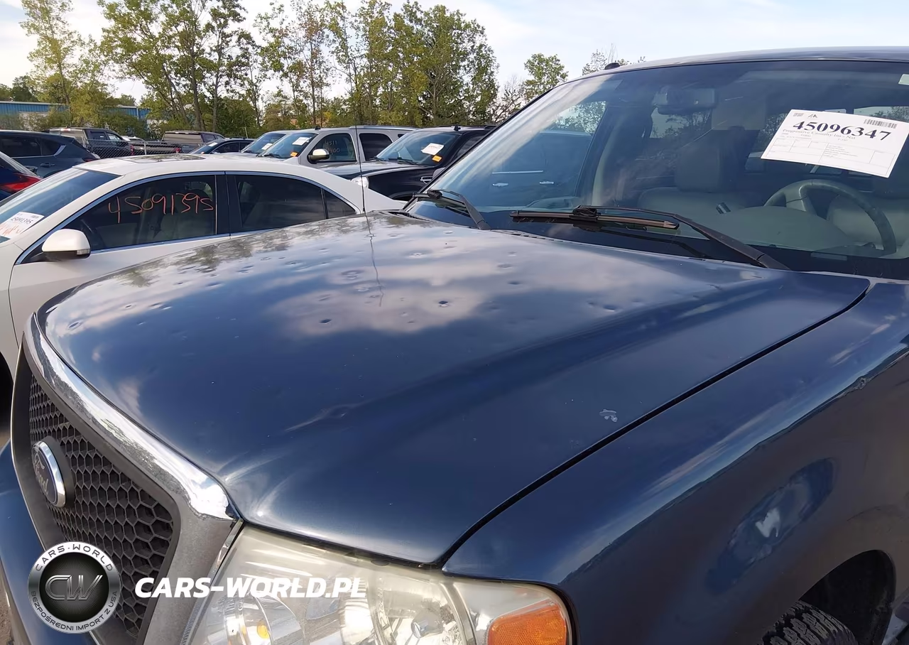 2006 Ford F-150 Fx4-Lariat-Xlt VIN:1FTPW14536FB66284 - 6