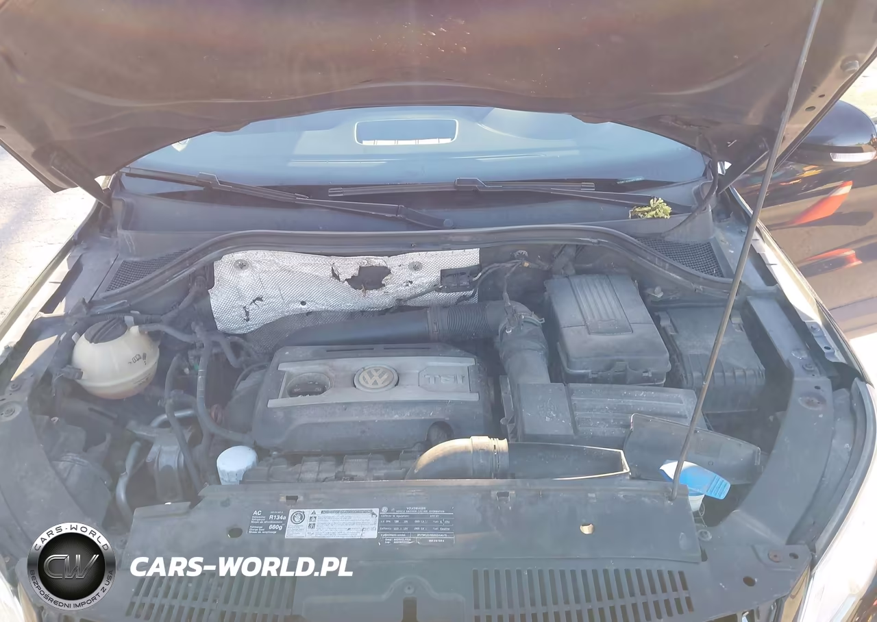 2010 Volkswagen Tiguan Se VIN:WVGBV7AX6AW510524 - 10