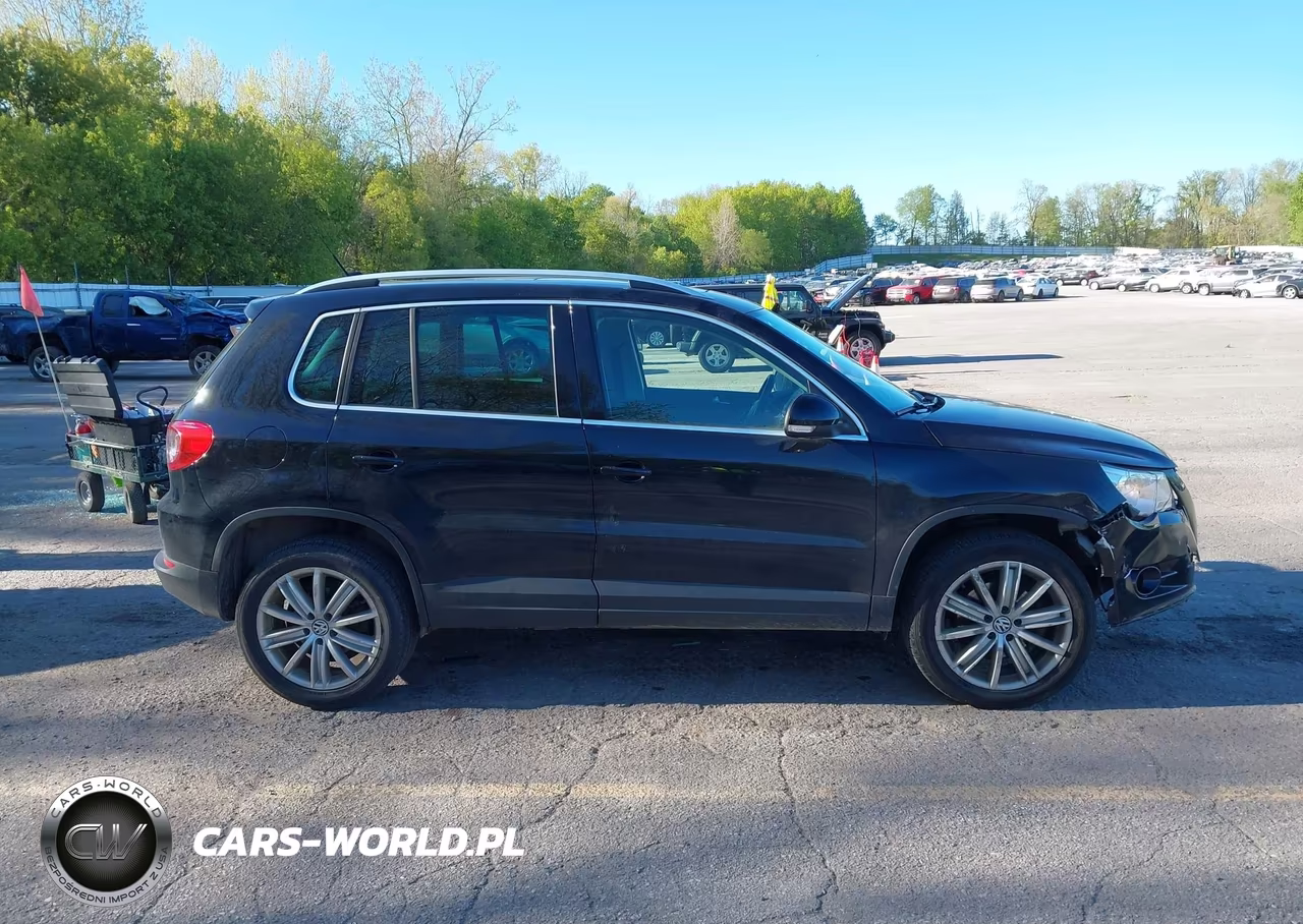 2010 Volkswagen Tiguan Se VIN:WVGBV7AX6AW510524 - 13