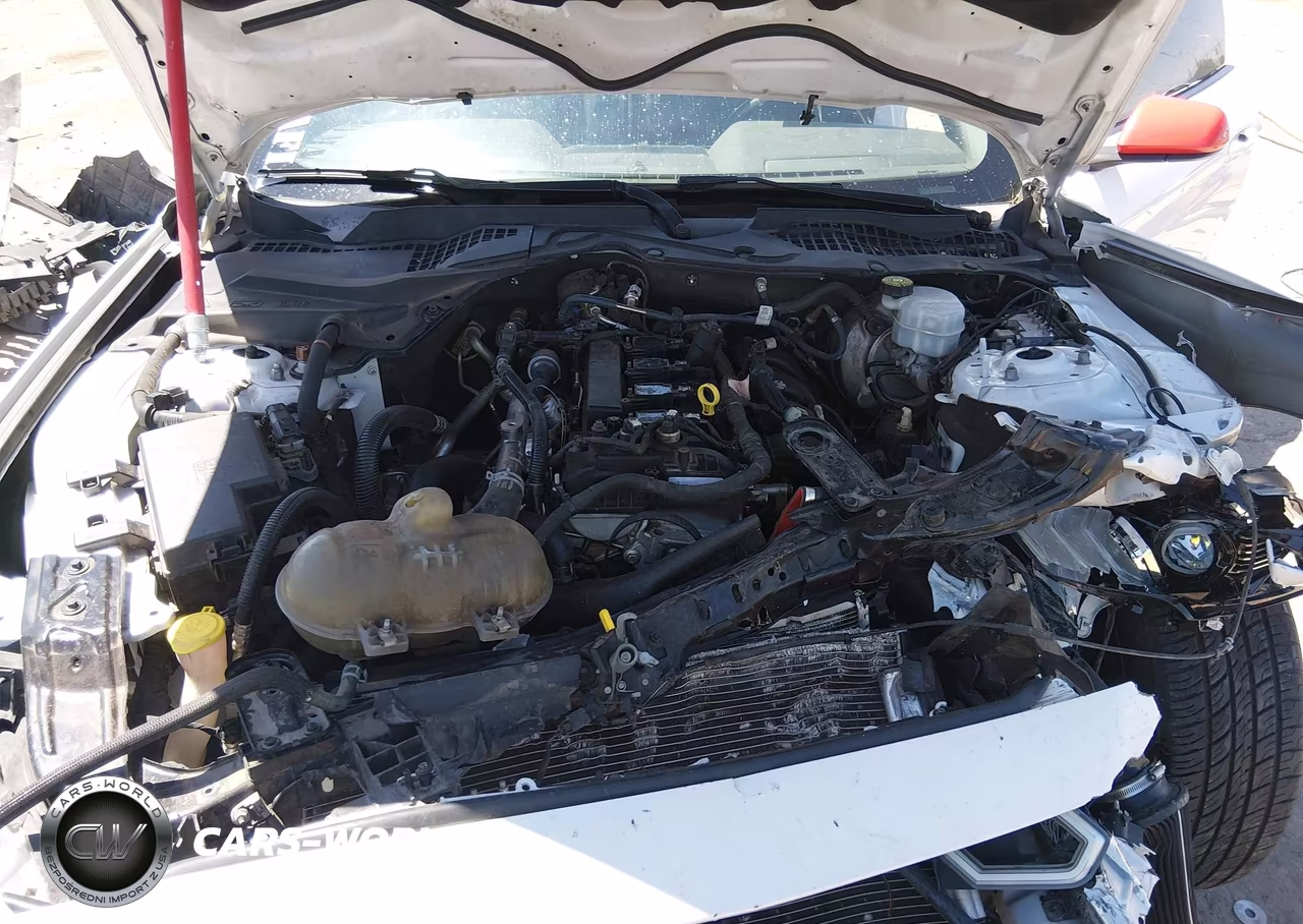 2019 Ford Mustang Ecoboost VIN:1FA6P8TH5K5143494 - 10