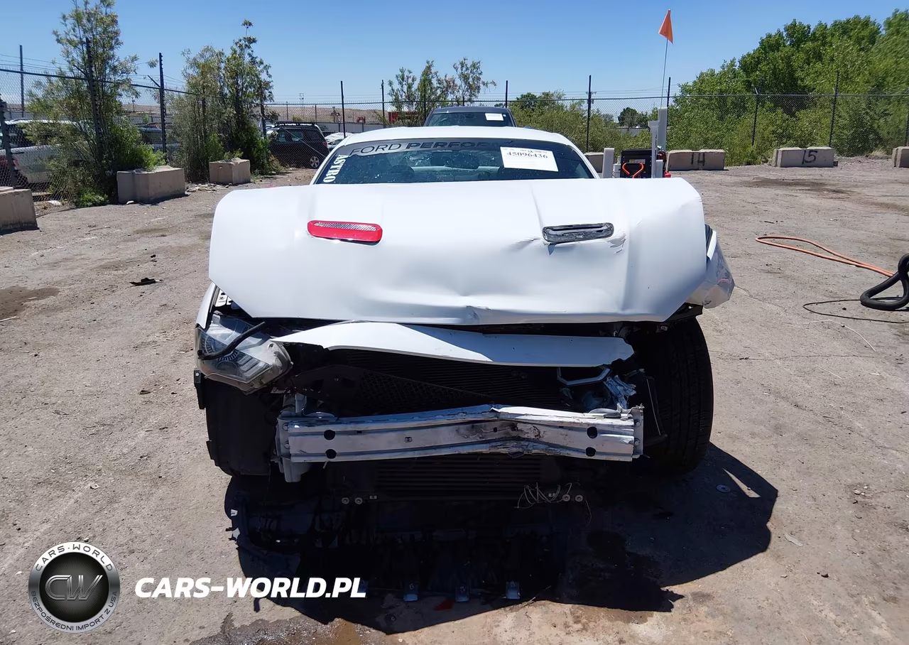 2019 Ford Mustang Ecoboost VIN:1FA6P8TH5K5143494 - 13