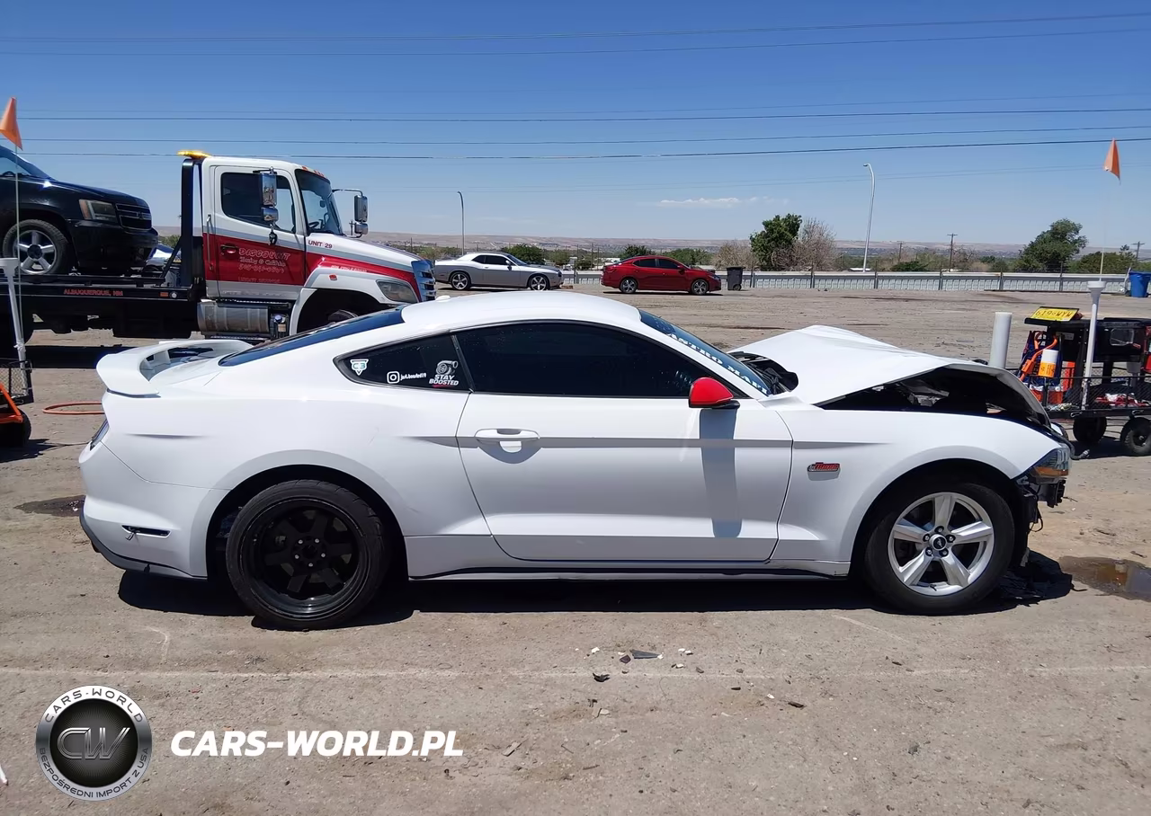 2019 Ford Mustang Ecoboost VIN:1FA6P8TH5K5143494 - 14
