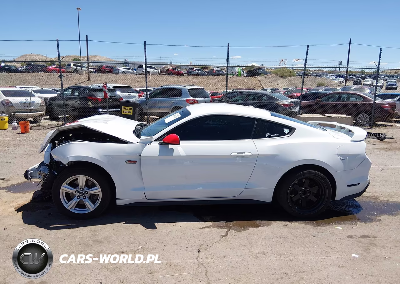 2019 Ford Mustang Ecoboost VIN:1FA6P8TH5K5143494 - 15
