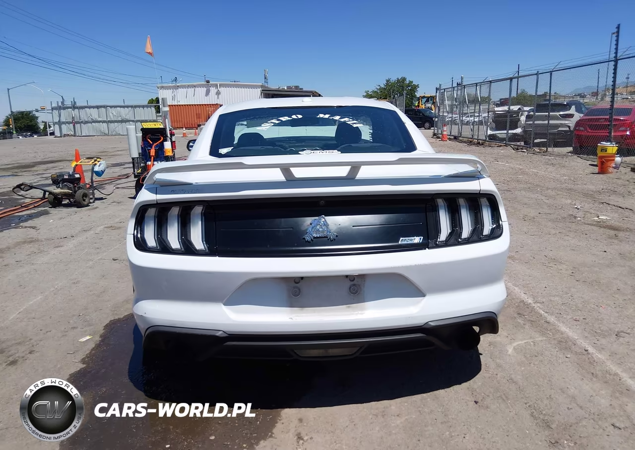 2019 Ford Mustang Ecoboost VIN:1FA6P8TH5K5143494 - 17