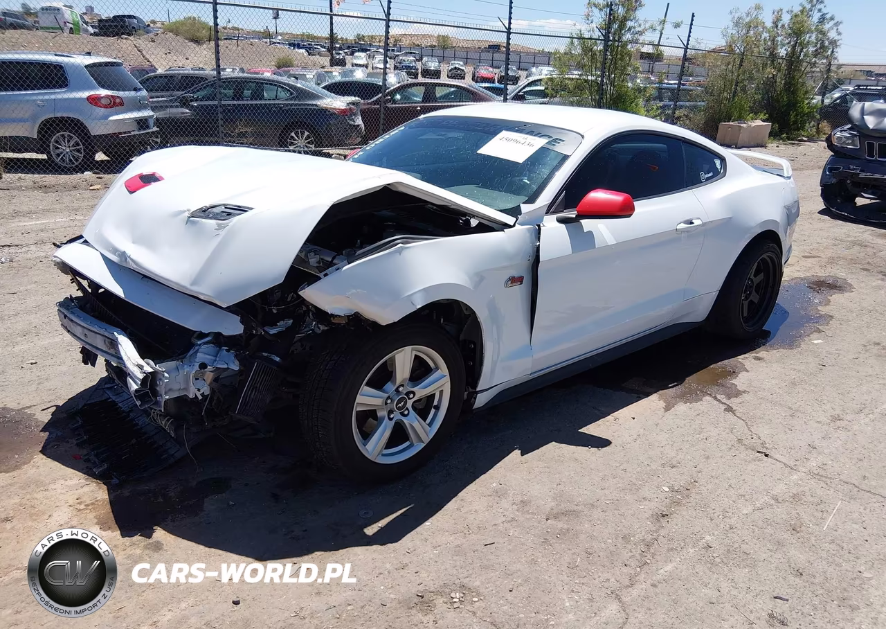2019 Ford Mustang Ecoboost VIN:1FA6P8TH5K5143494 - 2