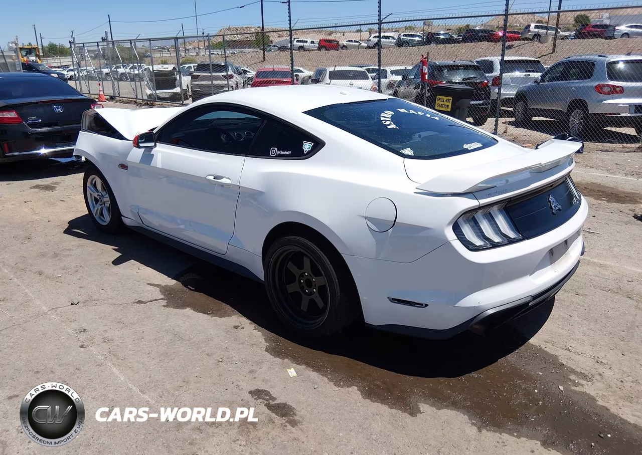 2019 Ford Mustang Ecoboost VIN:1FA6P8TH5K5143494 - 3