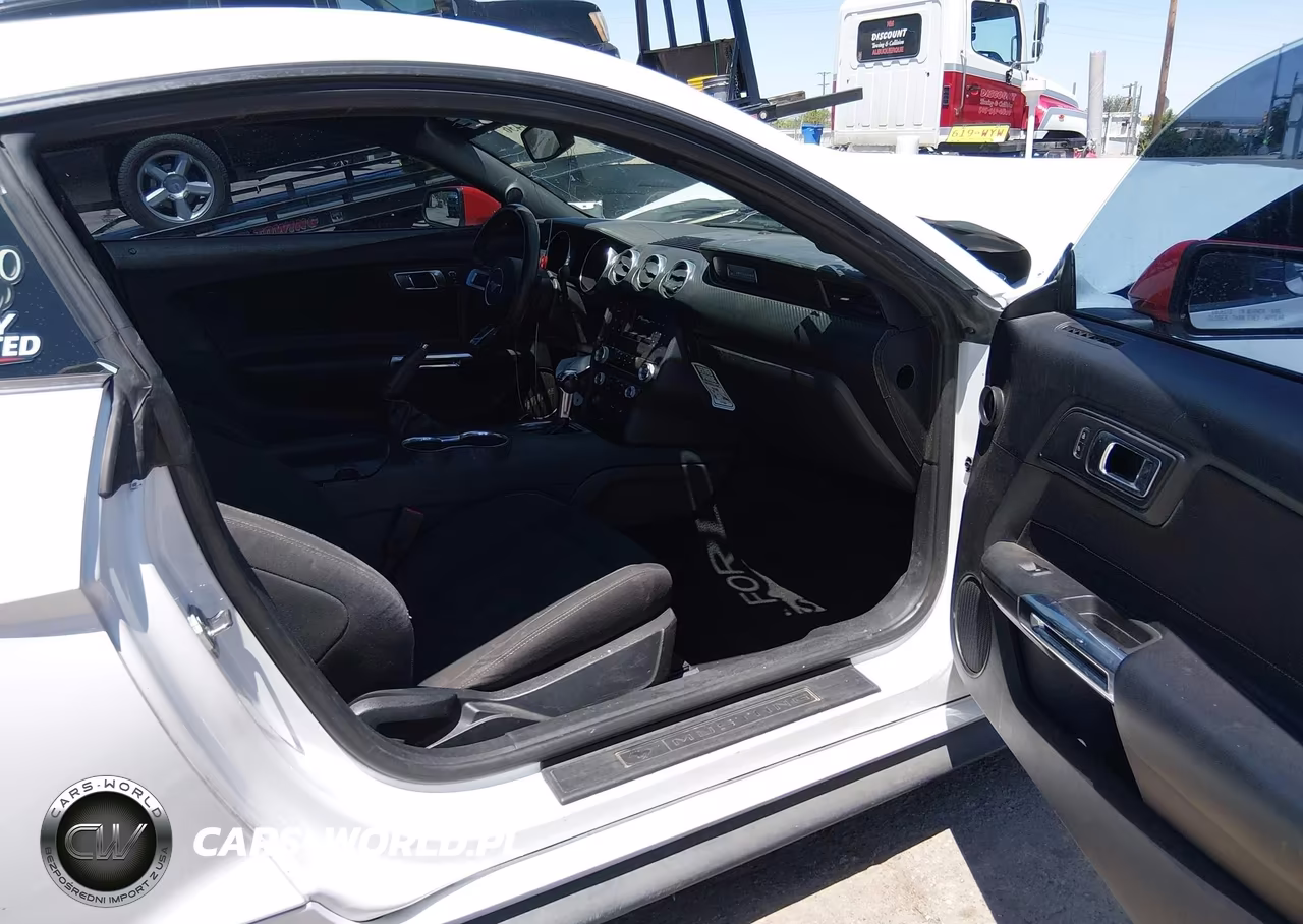 2019 Ford Mustang Ecoboost VIN:1FA6P8TH5K5143494 - 5