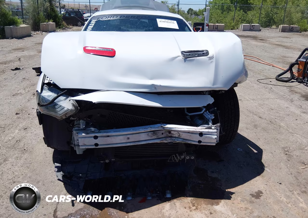 2019 Ford Mustang Ecoboost VIN:1FA6P8TH5K5143494 - 6