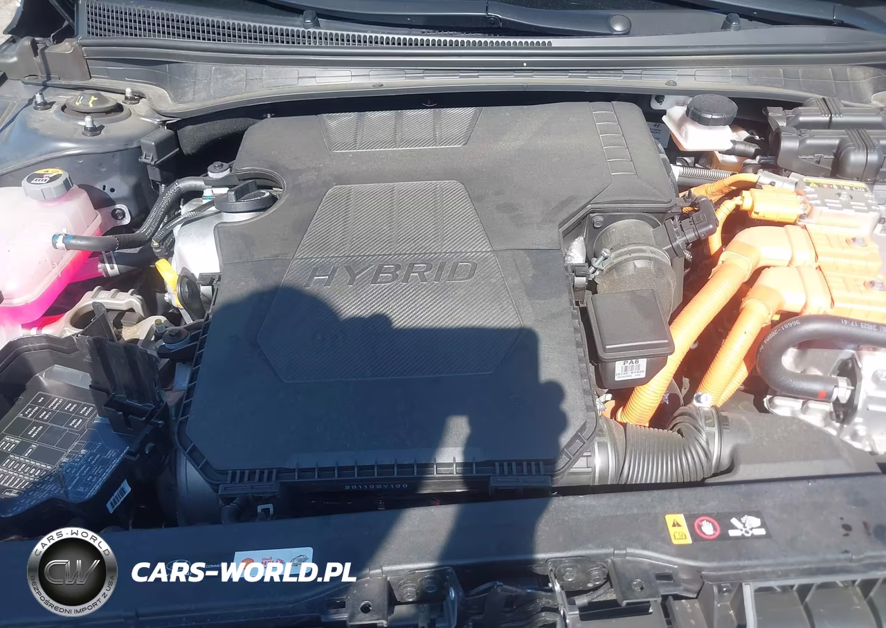 2024 Hyundai Elantra Hybrid Limited VIN:KMHLN4DJXRU117773 - 10