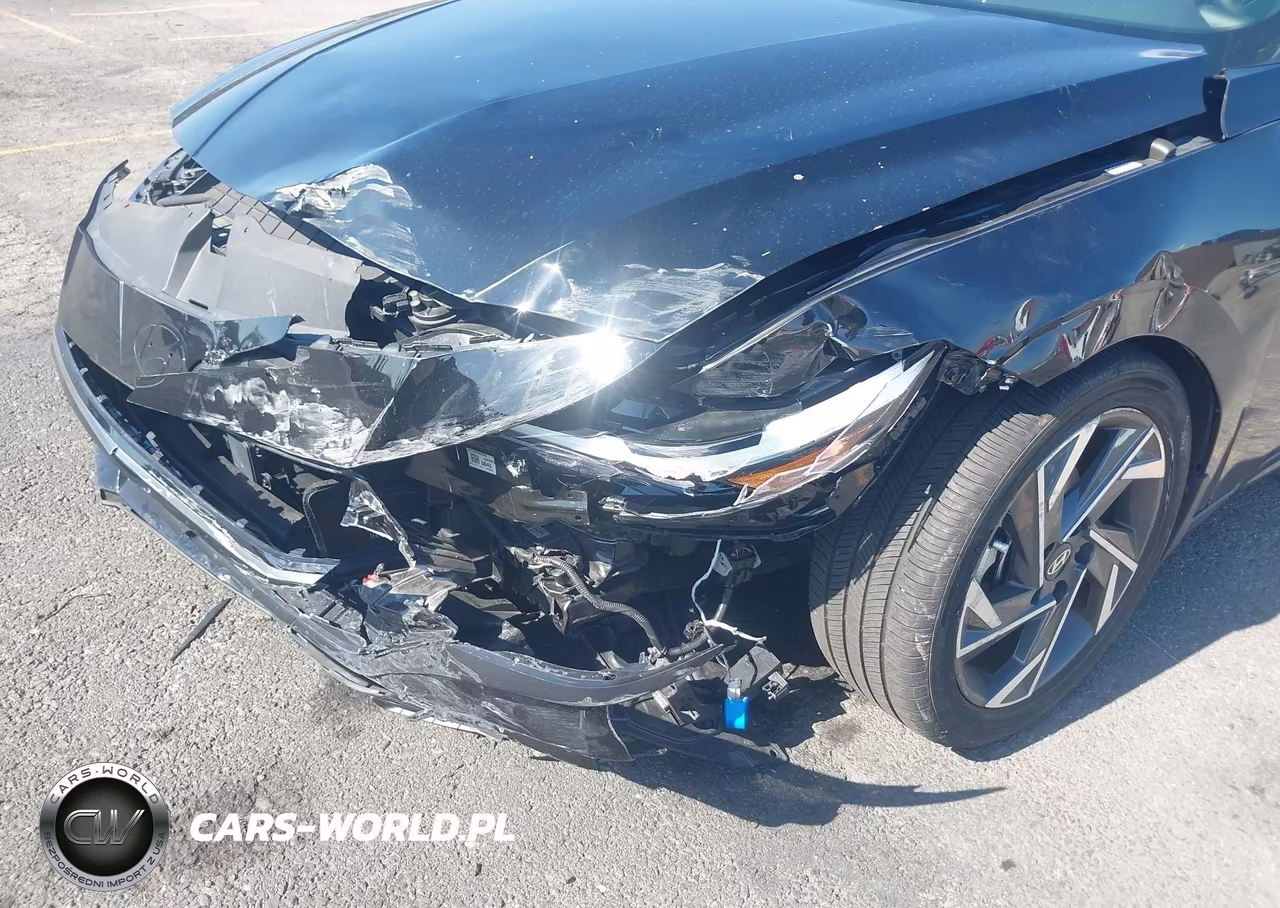 2024 Hyundai Elantra Hybrid Limited VIN:KMHLN4DJXRU117773 - 6