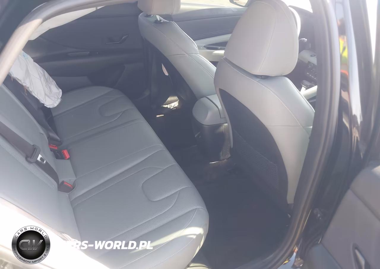 2024 Hyundai Elantra Hybrid Limited VIN:KMHLN4DJXRU117773 - 8
