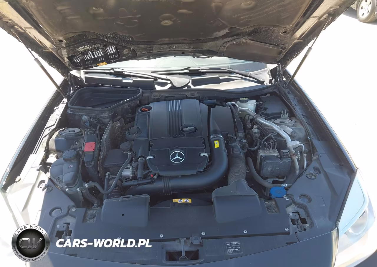 2014 Mercedes-Benz Slk 250 VIN:WDDPK4HA1EF080240 - 10