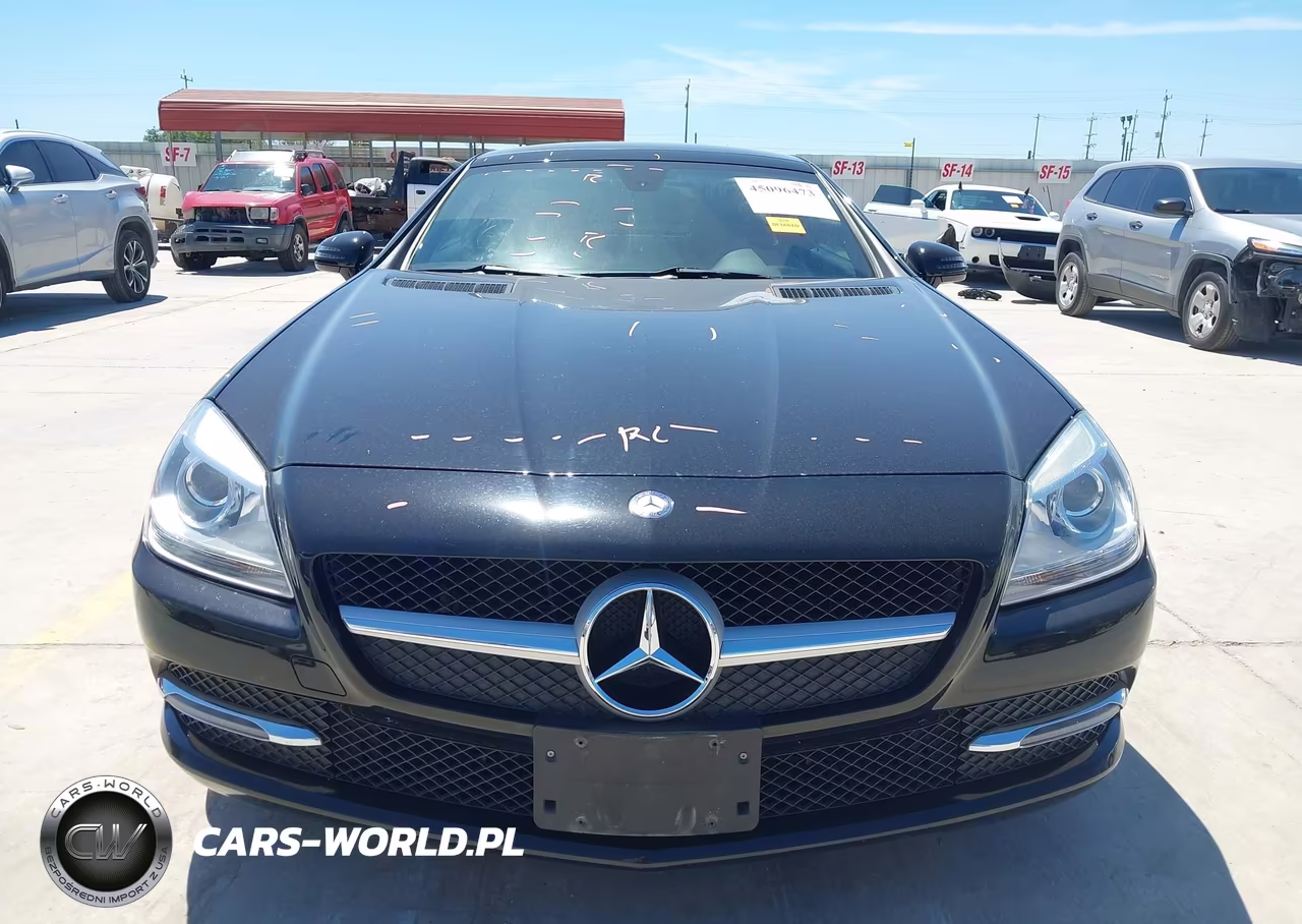 2014 Mercedes-Benz Slk 250 VIN:WDDPK4HA1EF080240 - 12