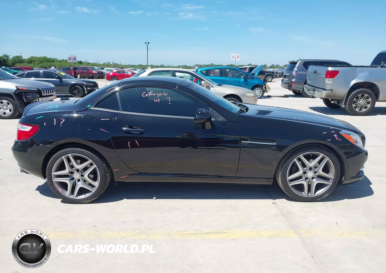 2014 Mercedes-Benz Slk 250 VIN:WDDPK4HA1EF080240 - 13