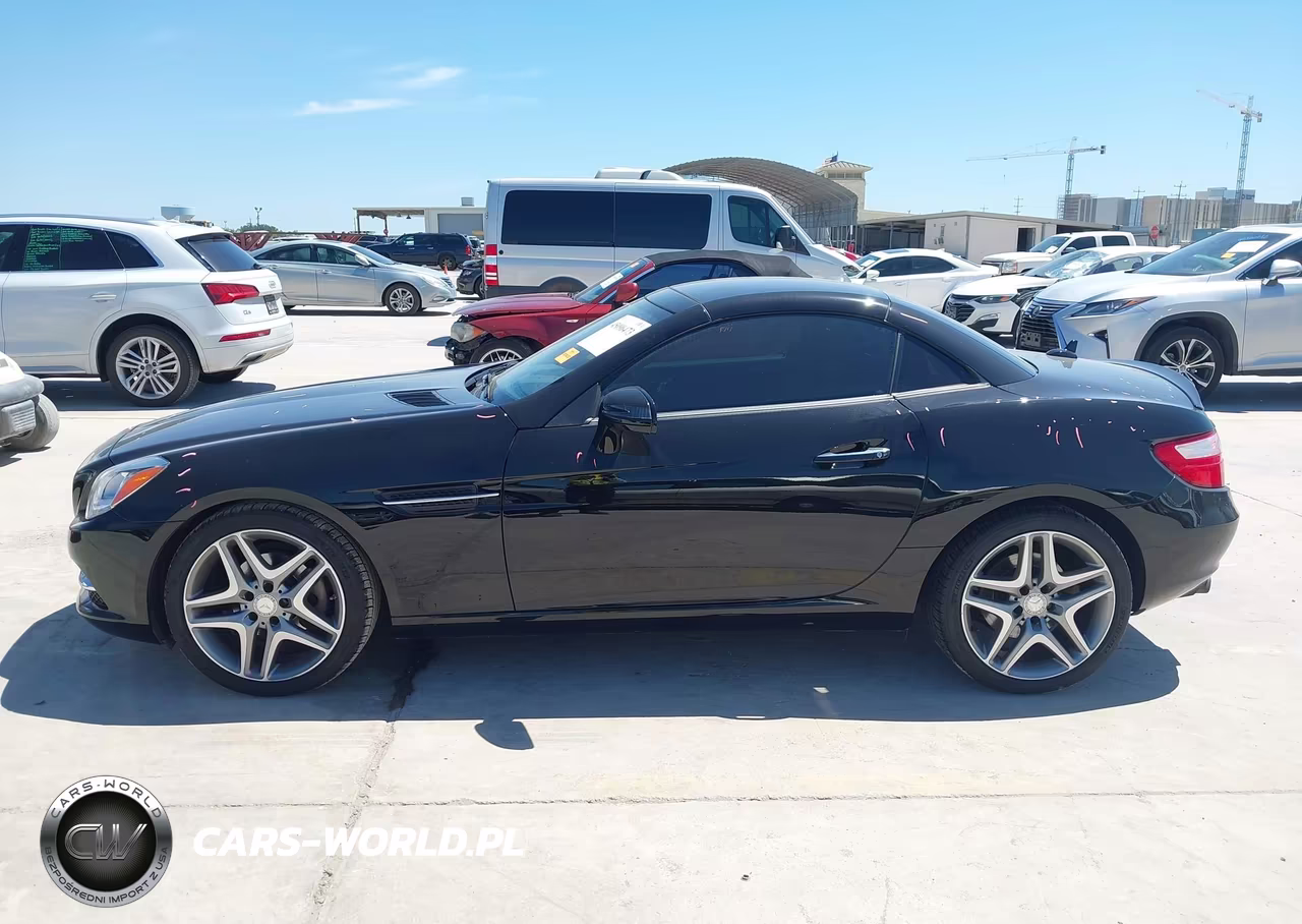 2014 Mercedes-Benz Slk 250 VIN:WDDPK4HA1EF080240 - 14