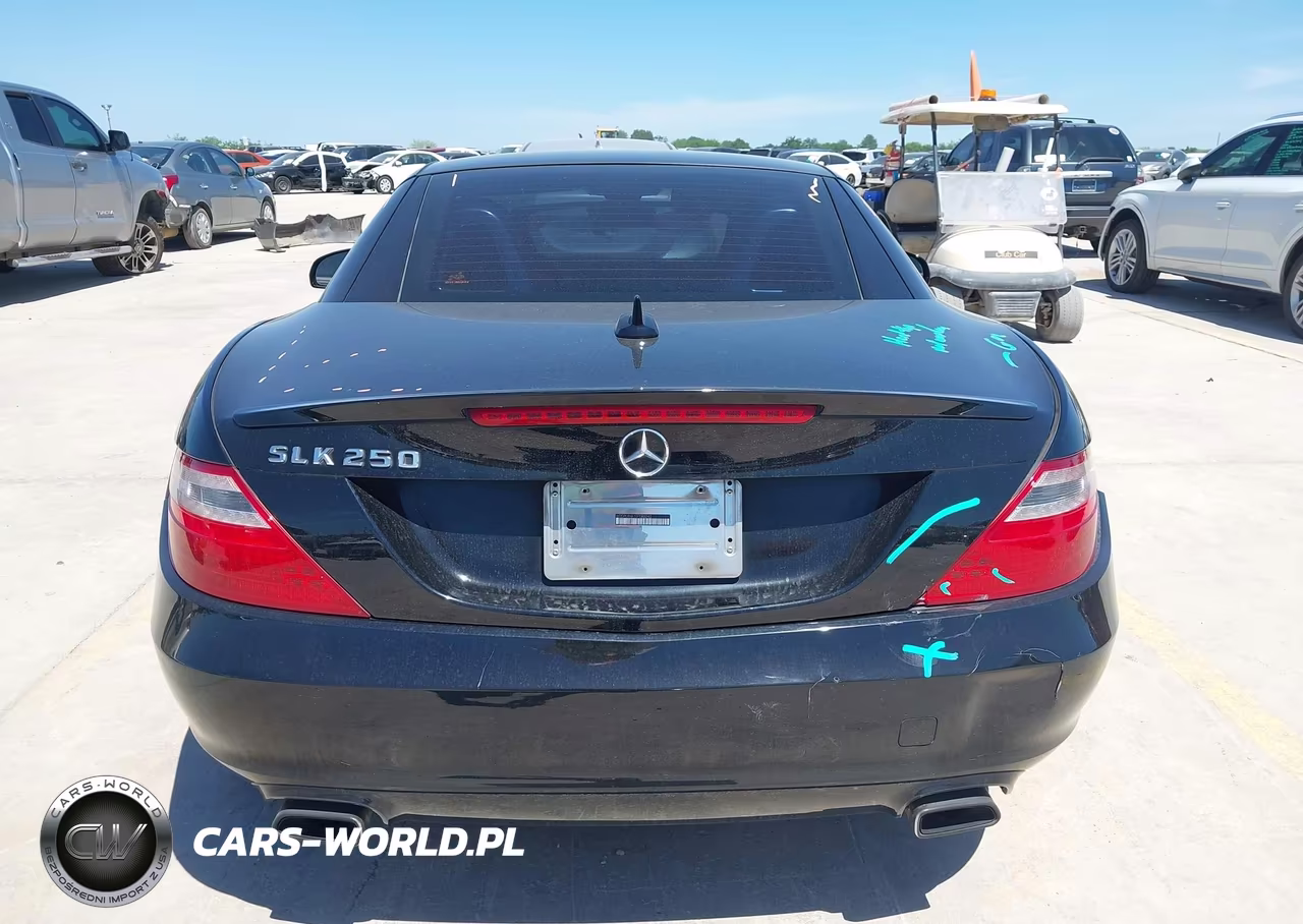 2014 Mercedes-Benz Slk 250 VIN:WDDPK4HA1EF080240 - 16