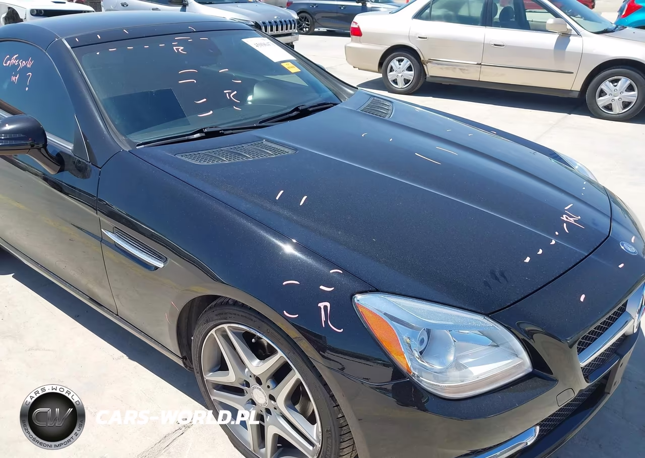 2014 Mercedes-Benz Slk 250 VIN:WDDPK4HA1EF080240 - 17