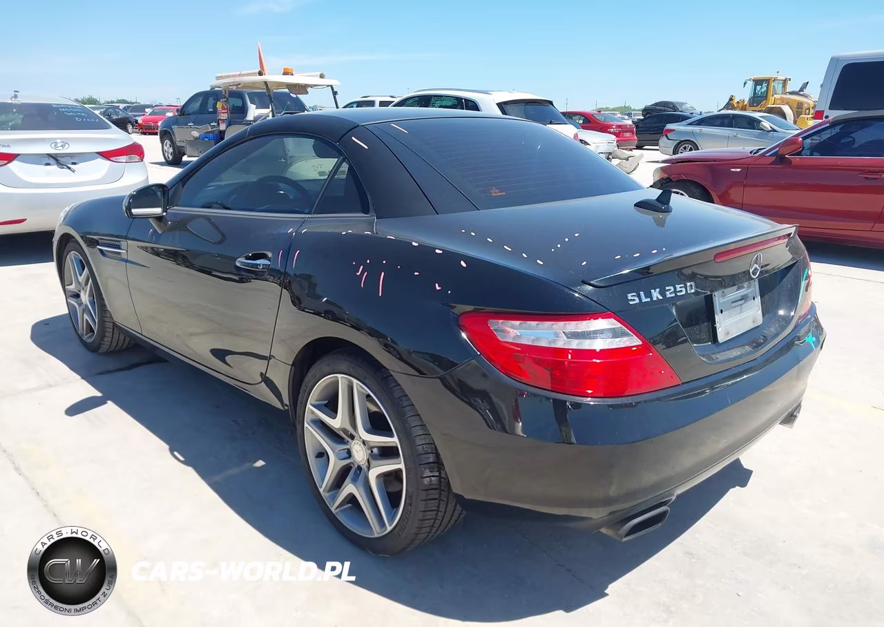 2014 Mercedes-Benz Slk 250 VIN:WDDPK4HA1EF080240 - 3