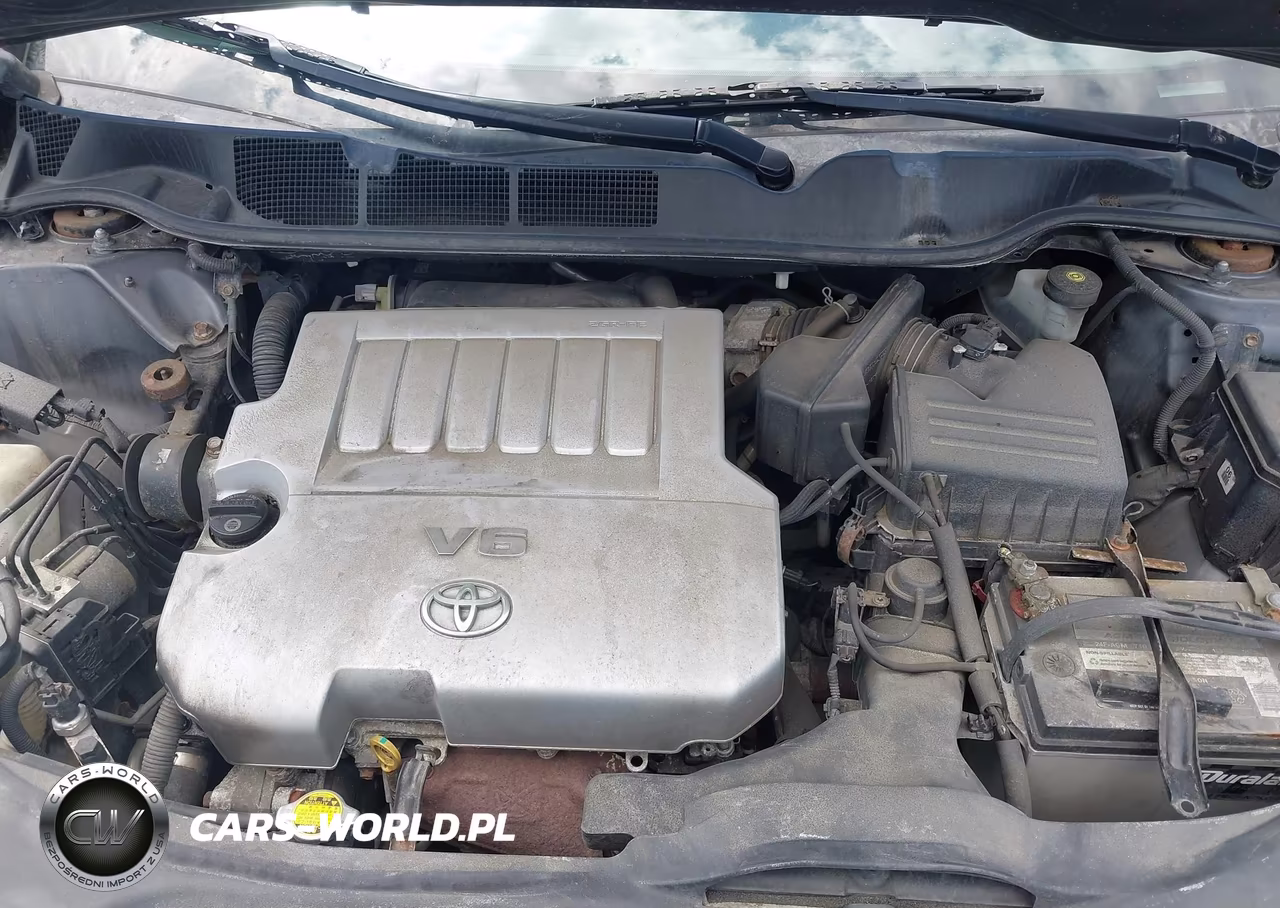 2009 Toyota Venza Base V6 VIN:4T3BK11A09U025389 - 10