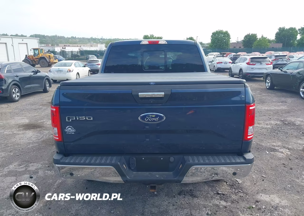 2016 Ford F-150 Xlt VIN:1FTEW1EP2GFC36186 - 16