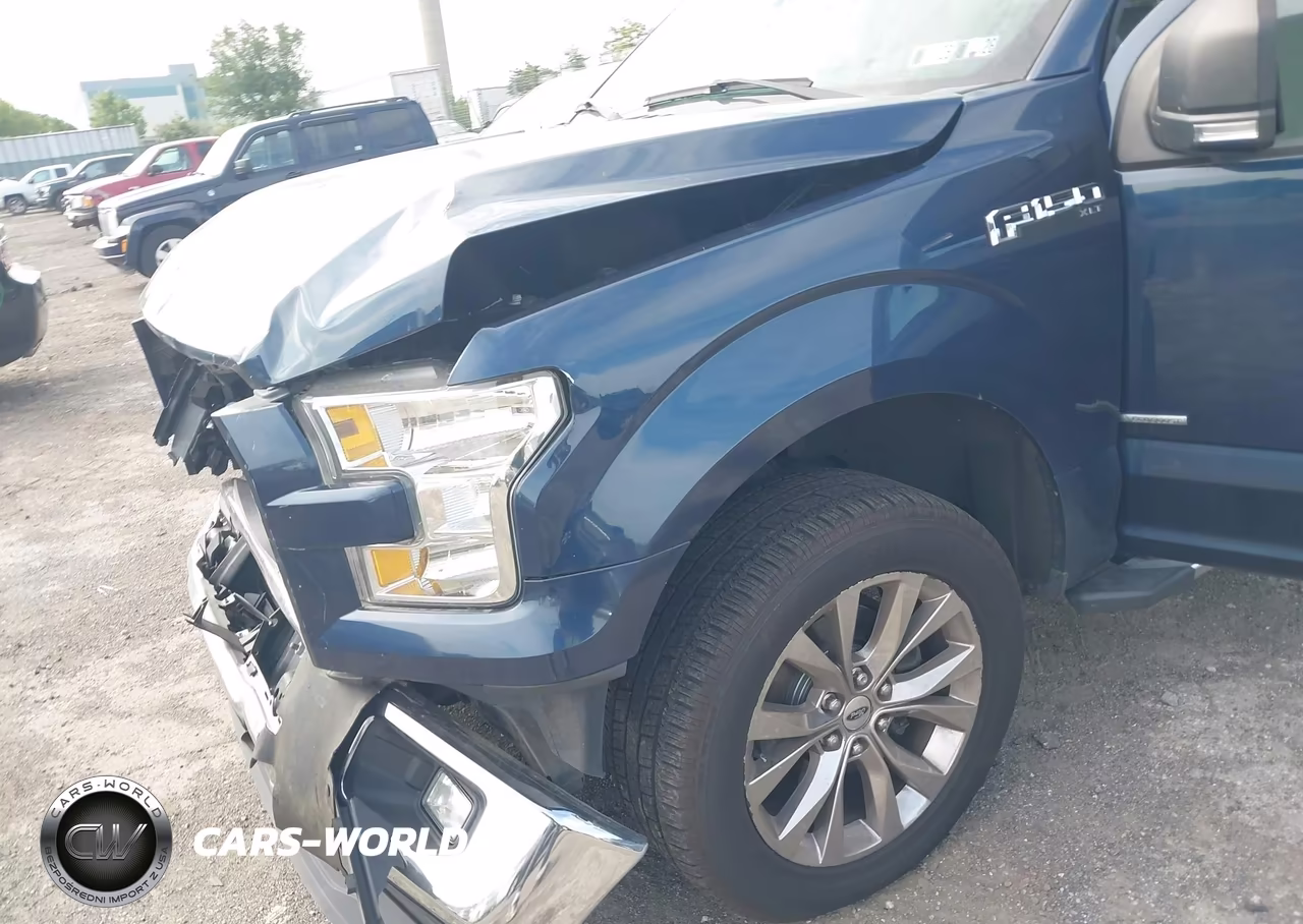 2016 Ford F-150 Xlt VIN:1FTEW1EP2GFC36186 - 19