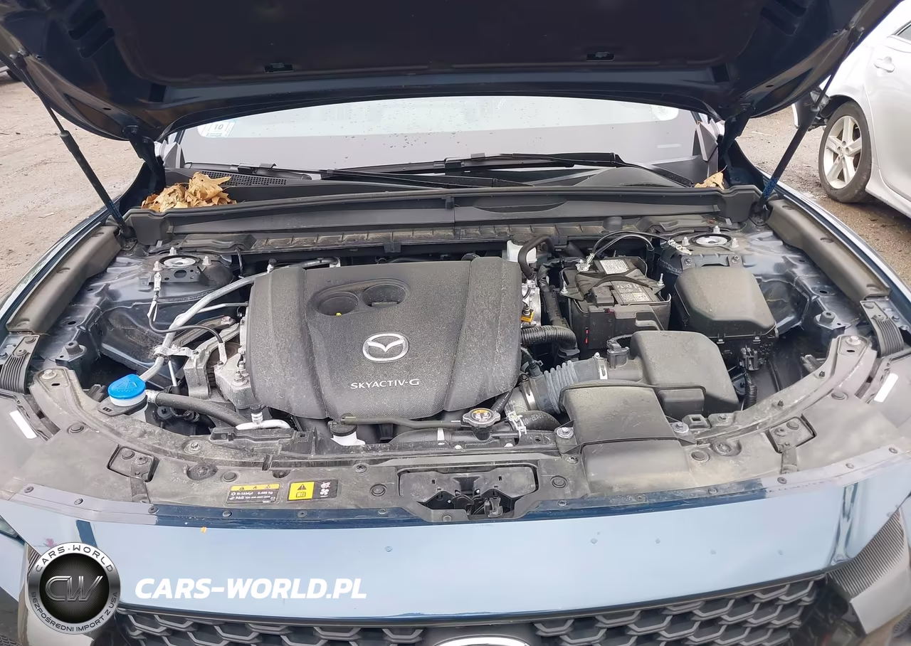 2024 Mazda Cx-50 2.5 S Premium VIN:7MMVABDM5RN202568 - 10