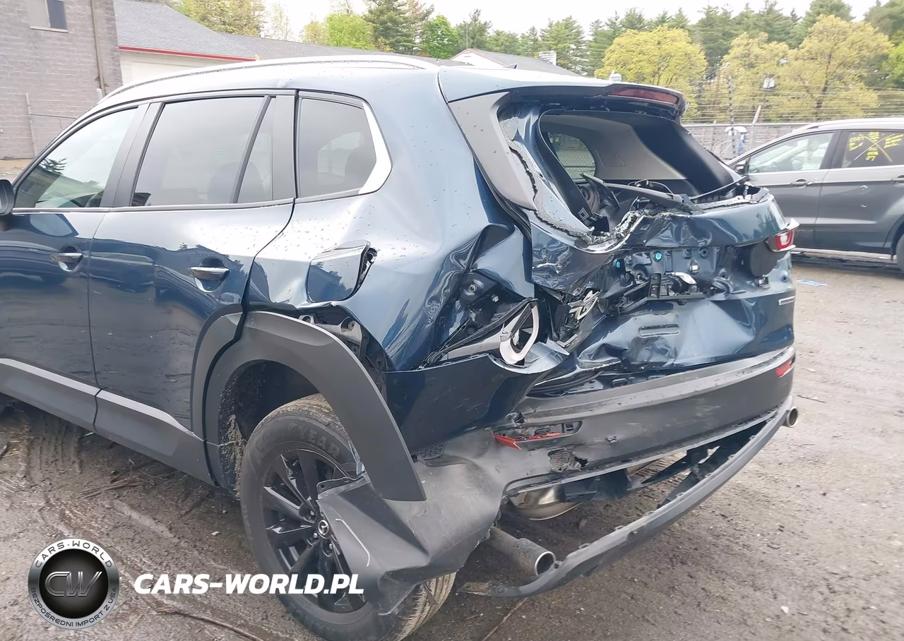 2024 Mazda Cx-50 2.5 S Premium VIN:7MMVABDM5RN202568 - 20