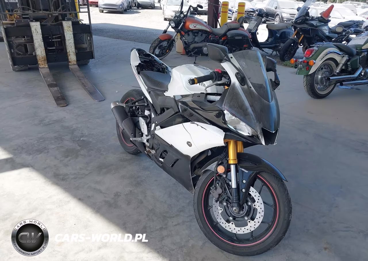 2019 Yamaha Yzfr3 A