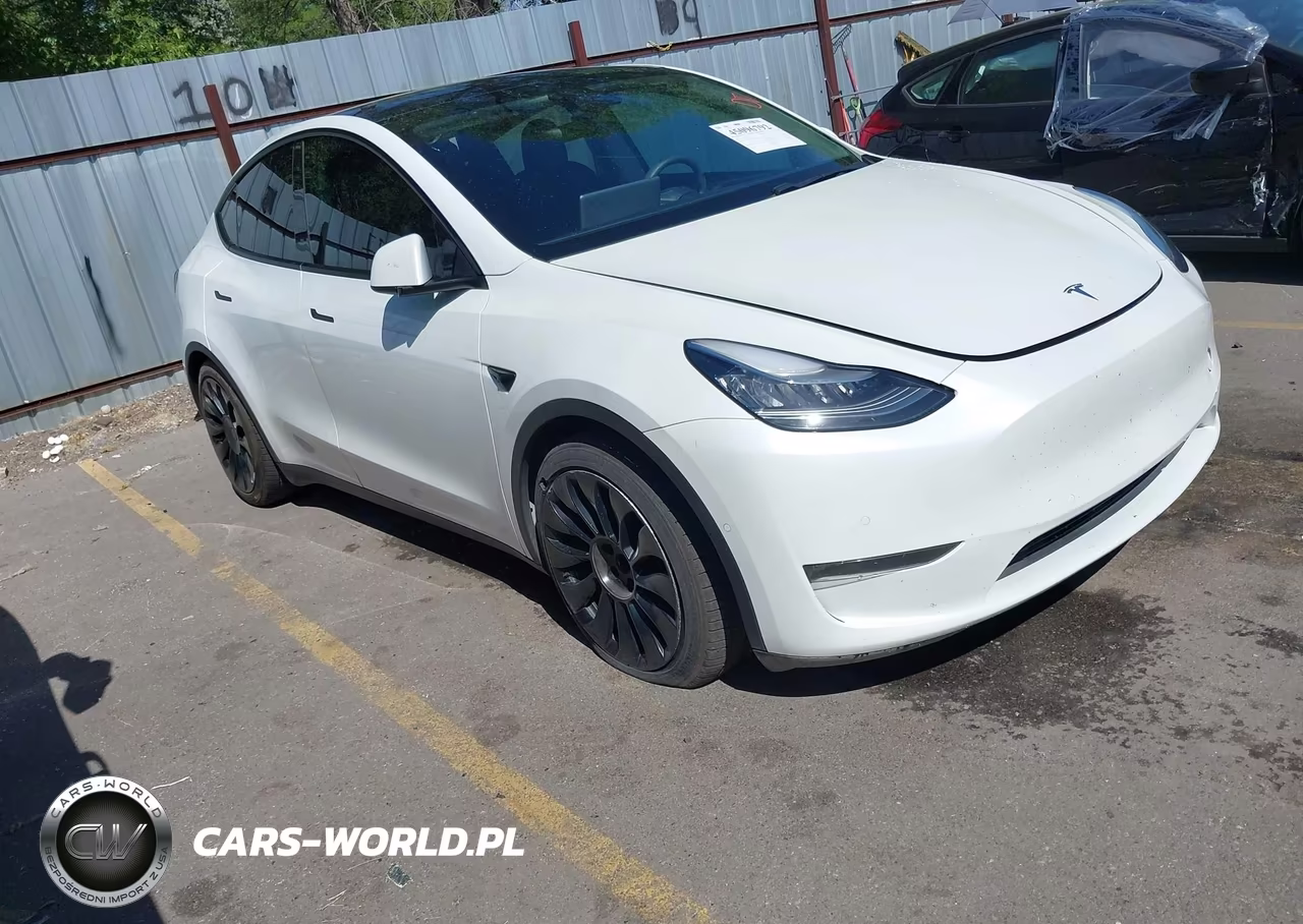 2020 Tesla Model Y Long Range Dual Motor All-Wheel Drive-Performance Dual Motor All-Wheel Drive