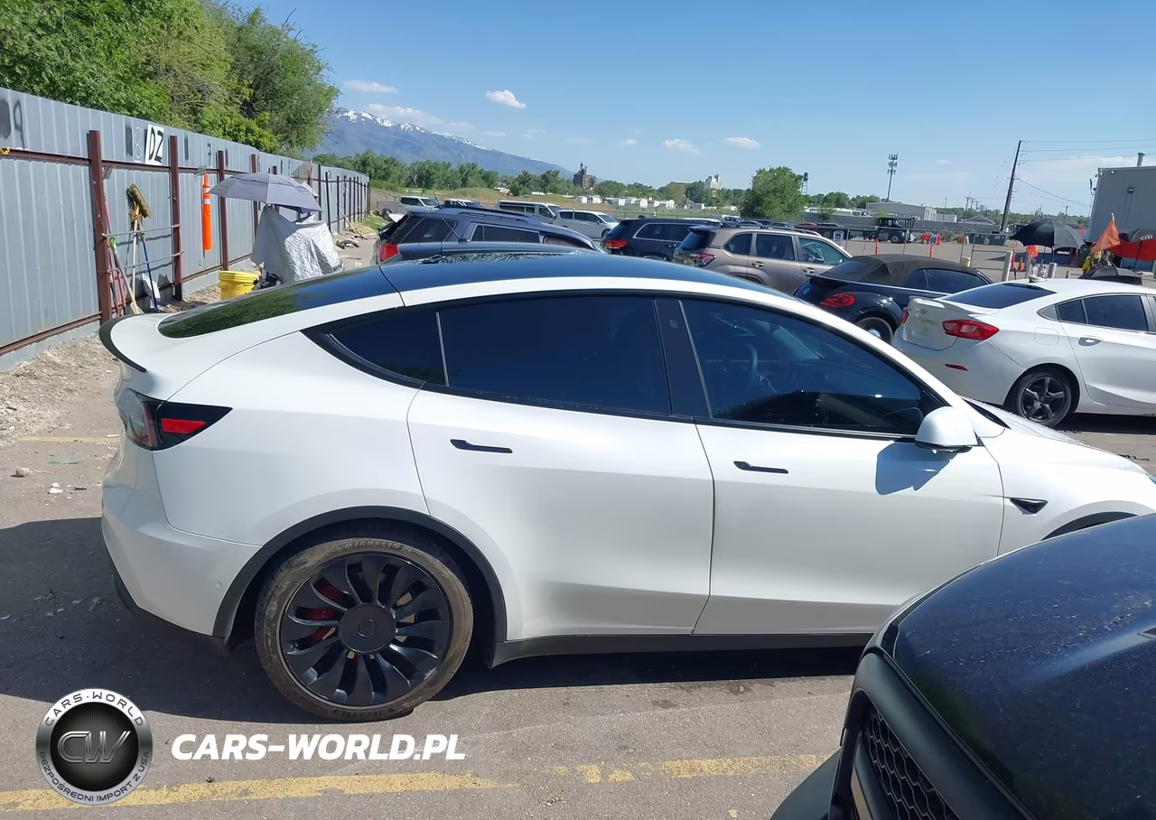 2020 Tesla Model Y Long Range Dual Motor All-Wheel Drive-Performance Dual Motor All-Wheel Drive VIN:5YJYGDEF3LF022194 - 12