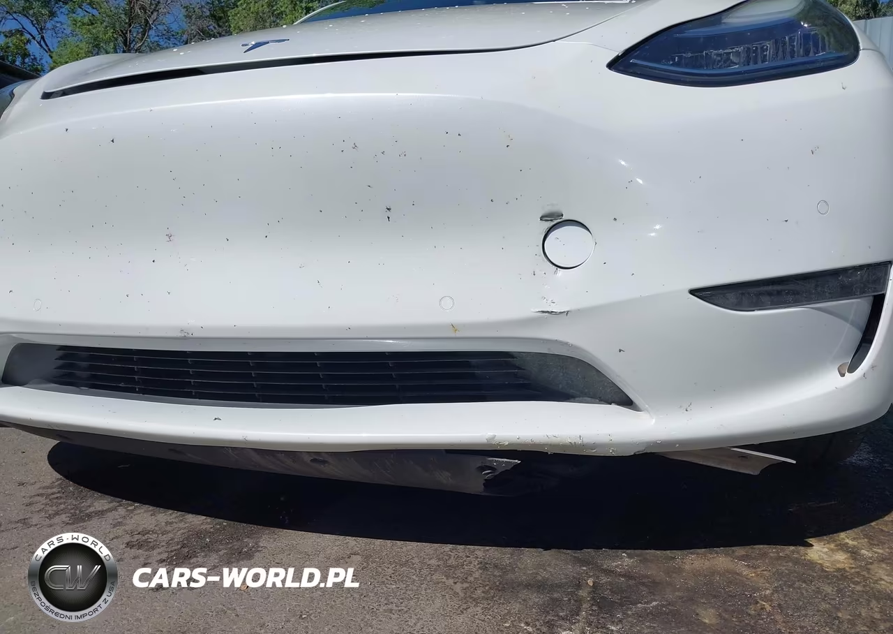 2020 Tesla Model Y Long Range Dual Motor All-Wheel Drive-Performance Dual Motor All-Wheel Drive VIN:5YJYGDEF3LF022194 - 6