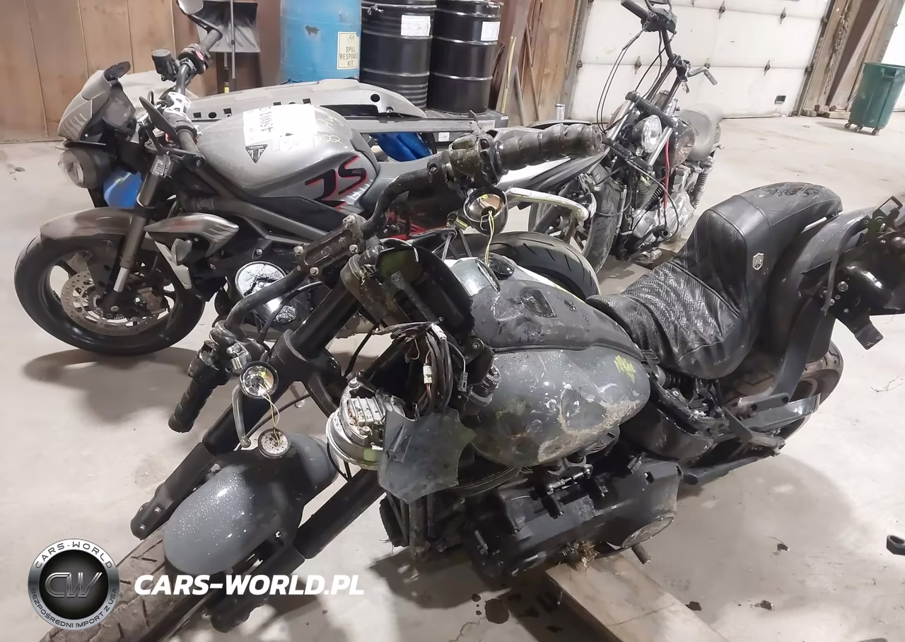 2022 Harley-Davidson Fxlrs VIN:1HD1YWZ19NB012766 - 2