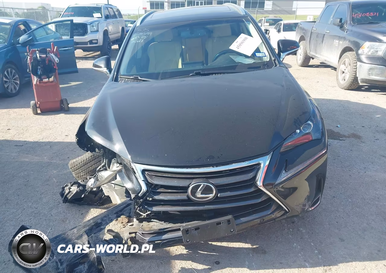 2016 Lexus Nx 200T VIN:JTJYARBZ2G2038521 - 12