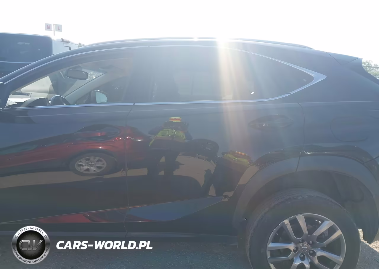 2016 Lexus Nx 200T VIN:JTJYARBZ2G2038521 - 14