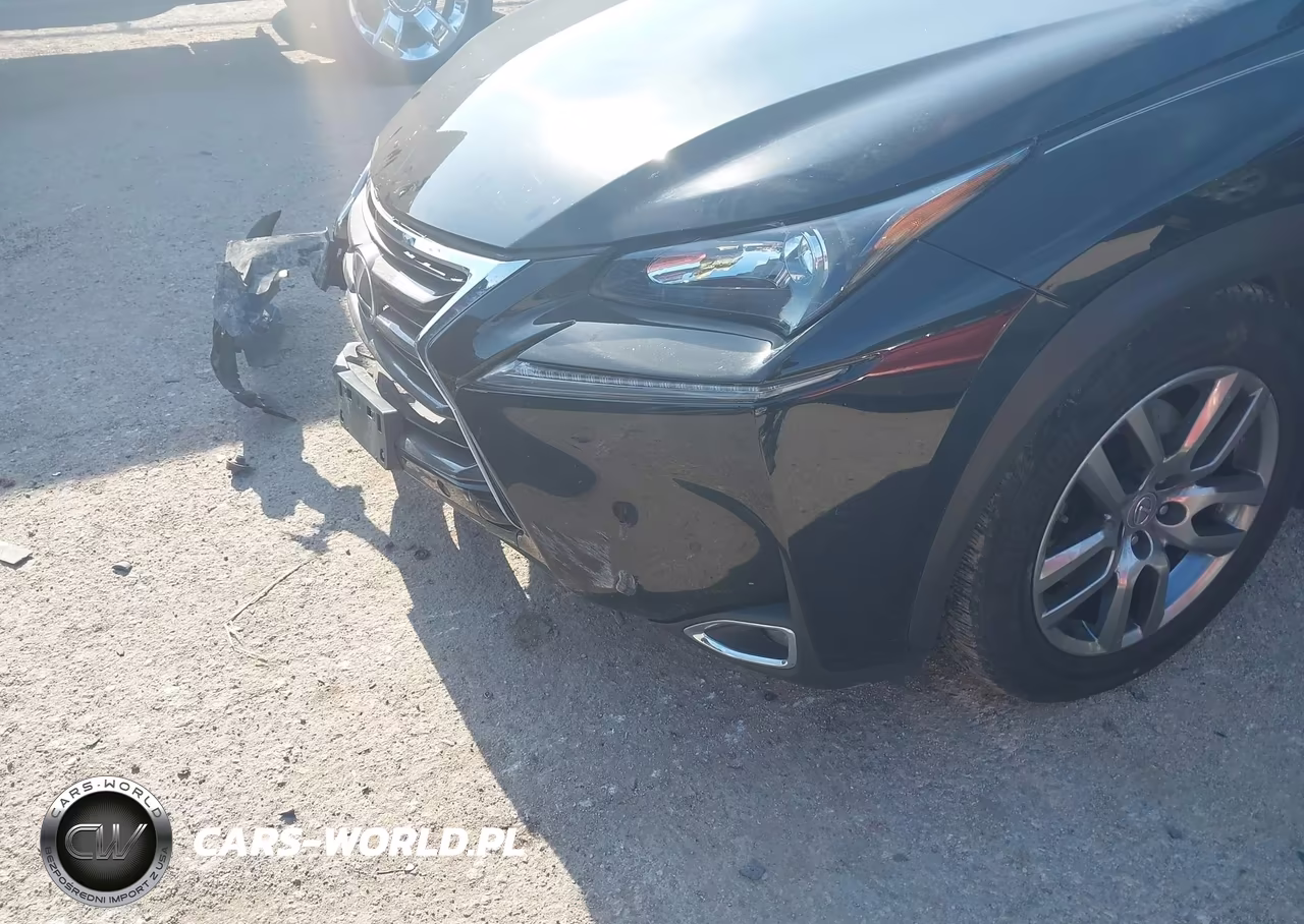 2016 Lexus Nx 200T VIN:JTJYARBZ2G2038521 - 17