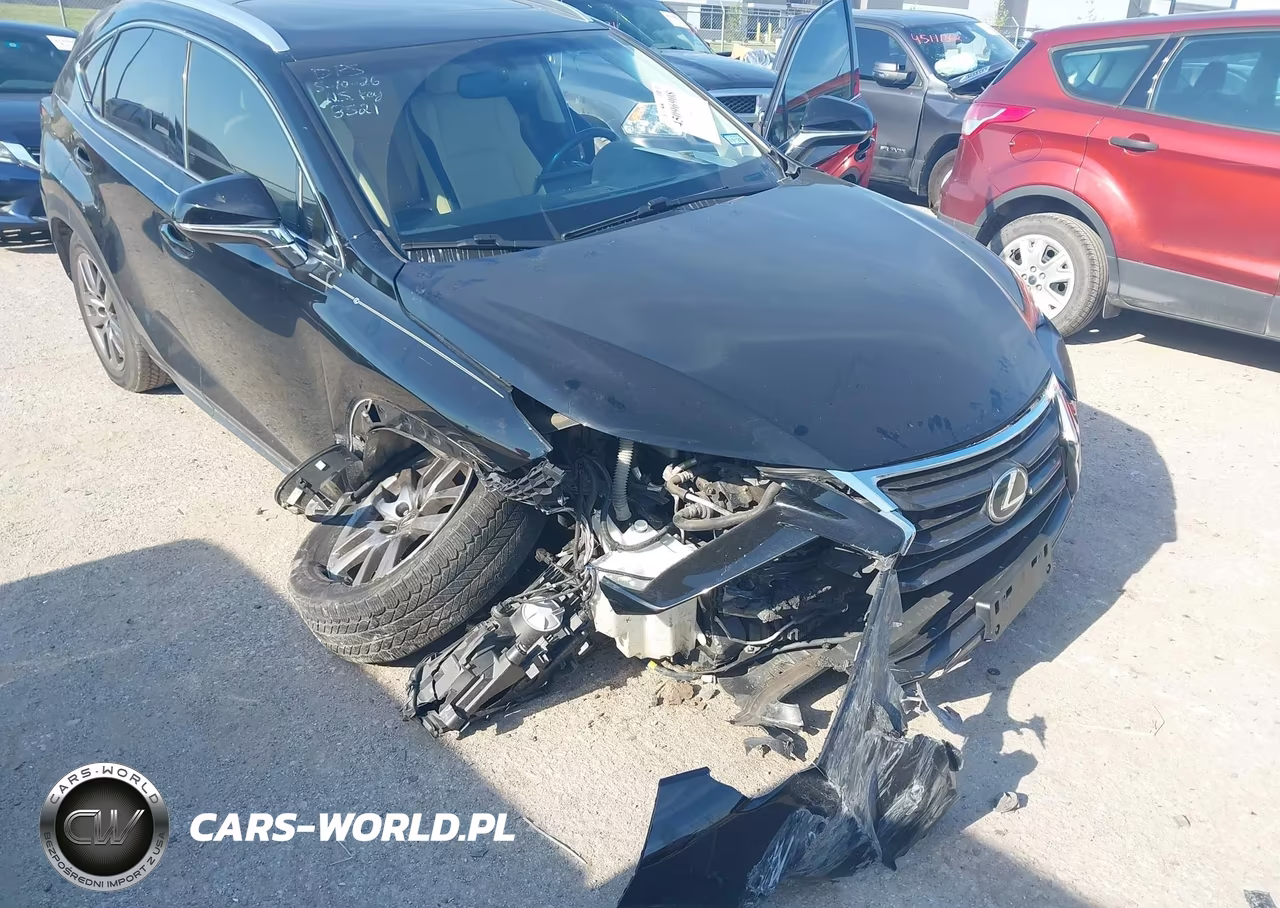 2016 Lexus Nx 200T VIN:JTJYARBZ2G2038521 - 6