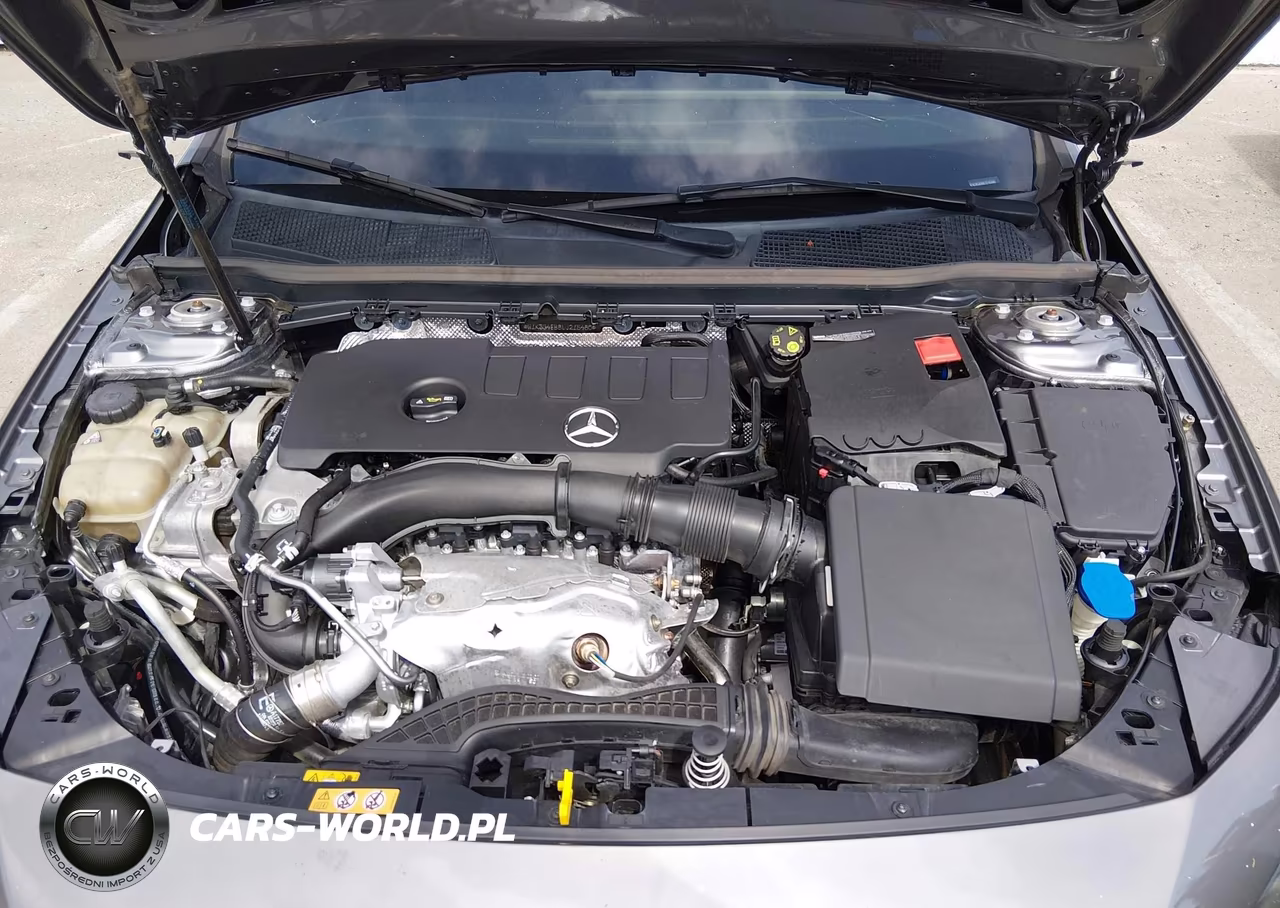 2020 Mercedes-Benz A 220 VIN:W1K3G4EB8LJ215480 - 10