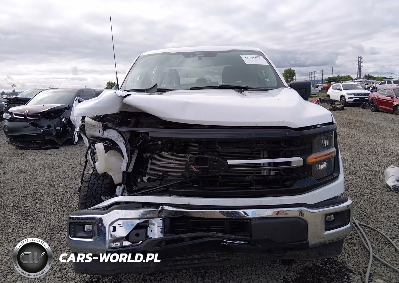 2024 Ford F-150 Xlt VIN:1FTFW3L84RKF66952 - 12