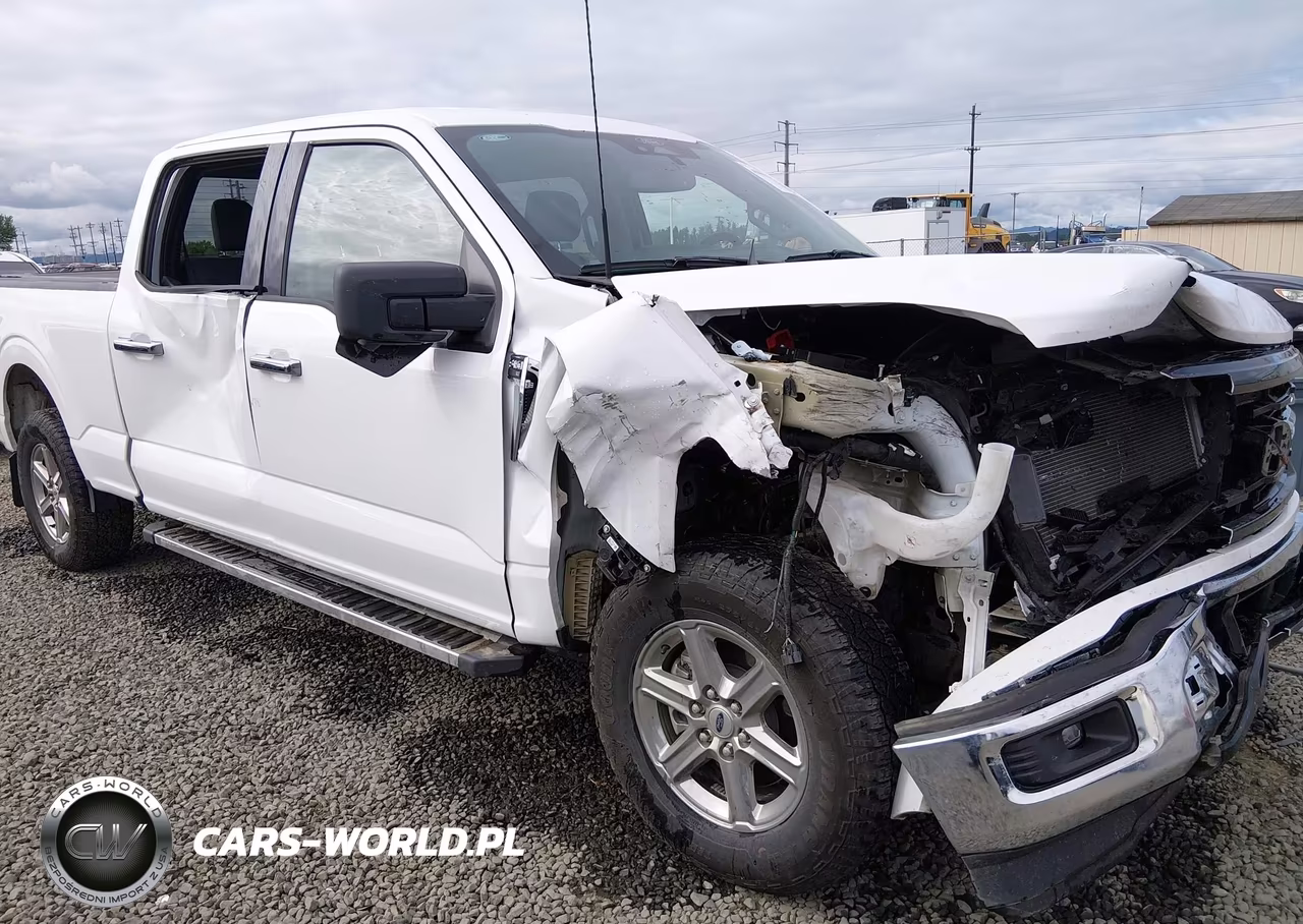 2024 Ford F-150 Xlt VIN:1FTFW3L84RKF66952 - 18