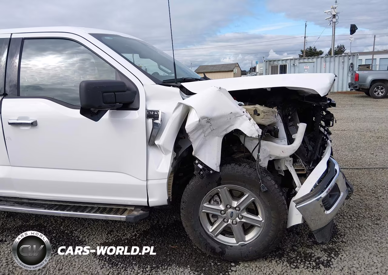 2024 Ford F-150 Xlt VIN:1FTFW3L84RKF66952 - 19