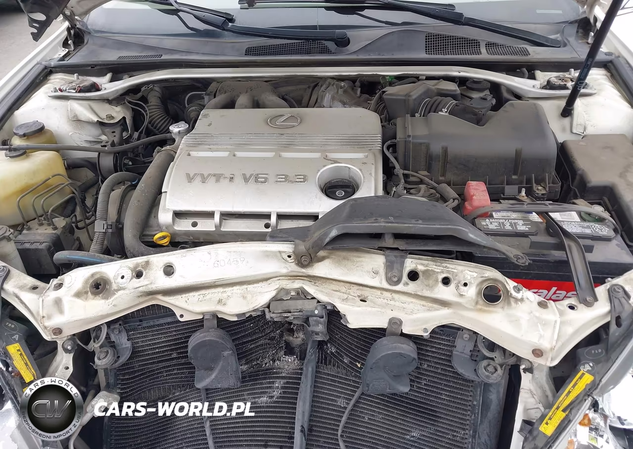 2004 Lexus Es 330 VIN:JTHBA30G745009919 - 10
