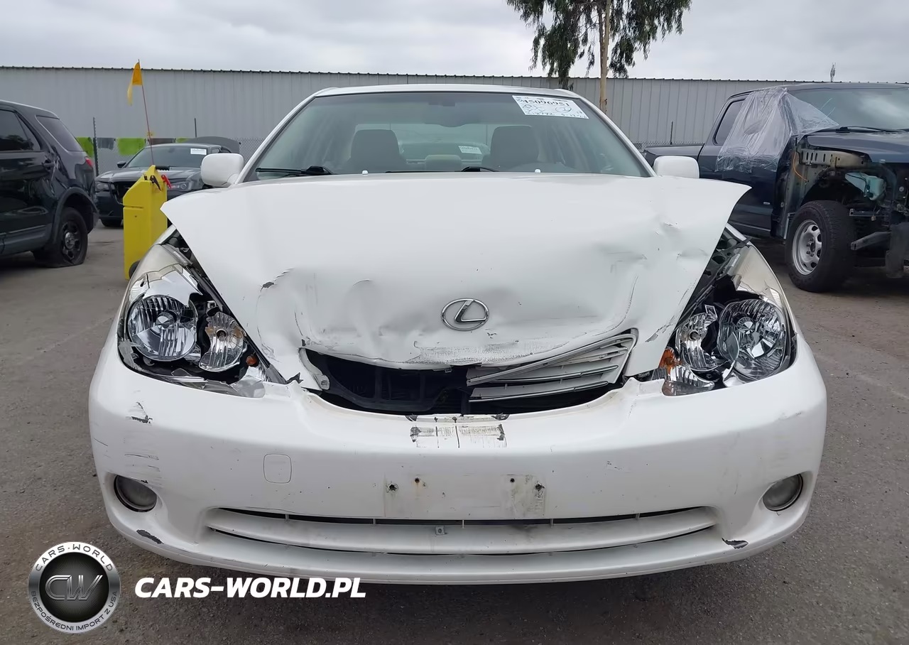 2004 Lexus Es 330 VIN:JTHBA30G745009919 - 12