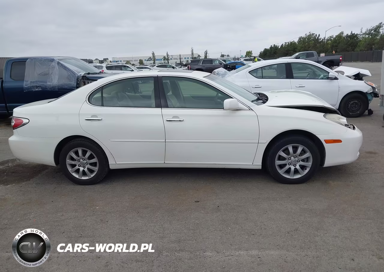 2004 Lexus Es 330 VIN:JTHBA30G745009919 - 13