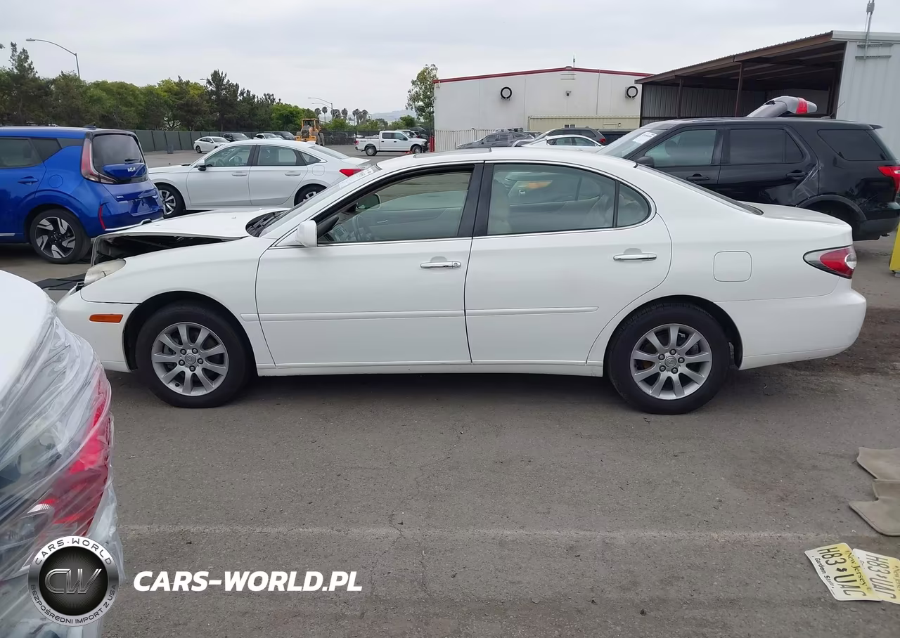 2004 Lexus Es 330 VIN:JTHBA30G745009919 - 14