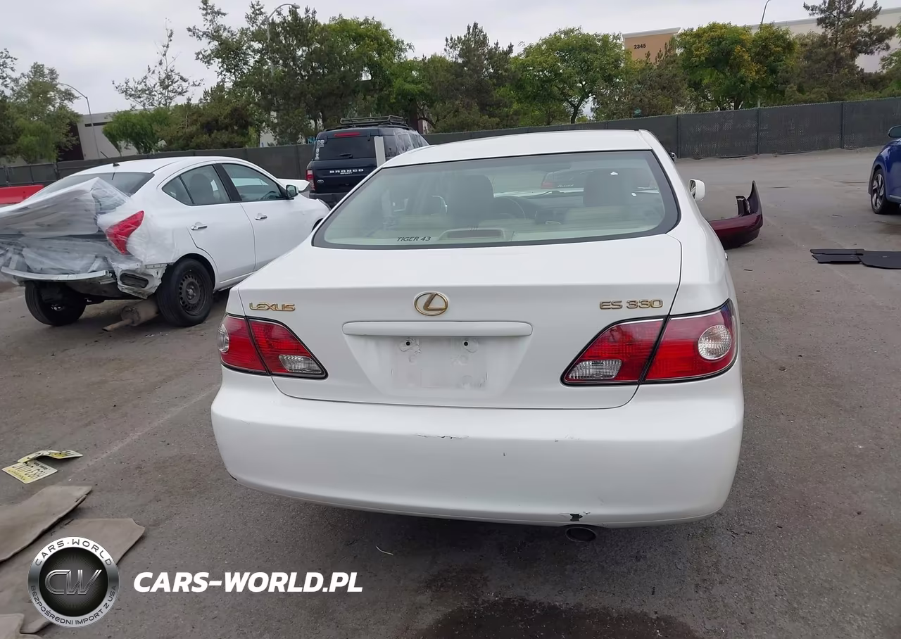 2004 Lexus Es 330 VIN:JTHBA30G745009919 - 16