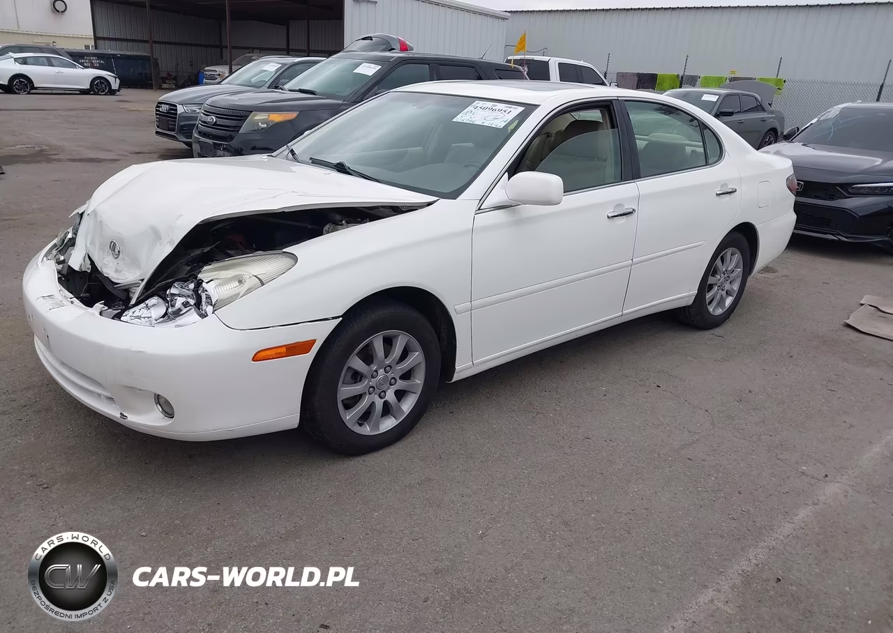2004 Lexus Es 330 VIN:JTHBA30G745009919 - 2