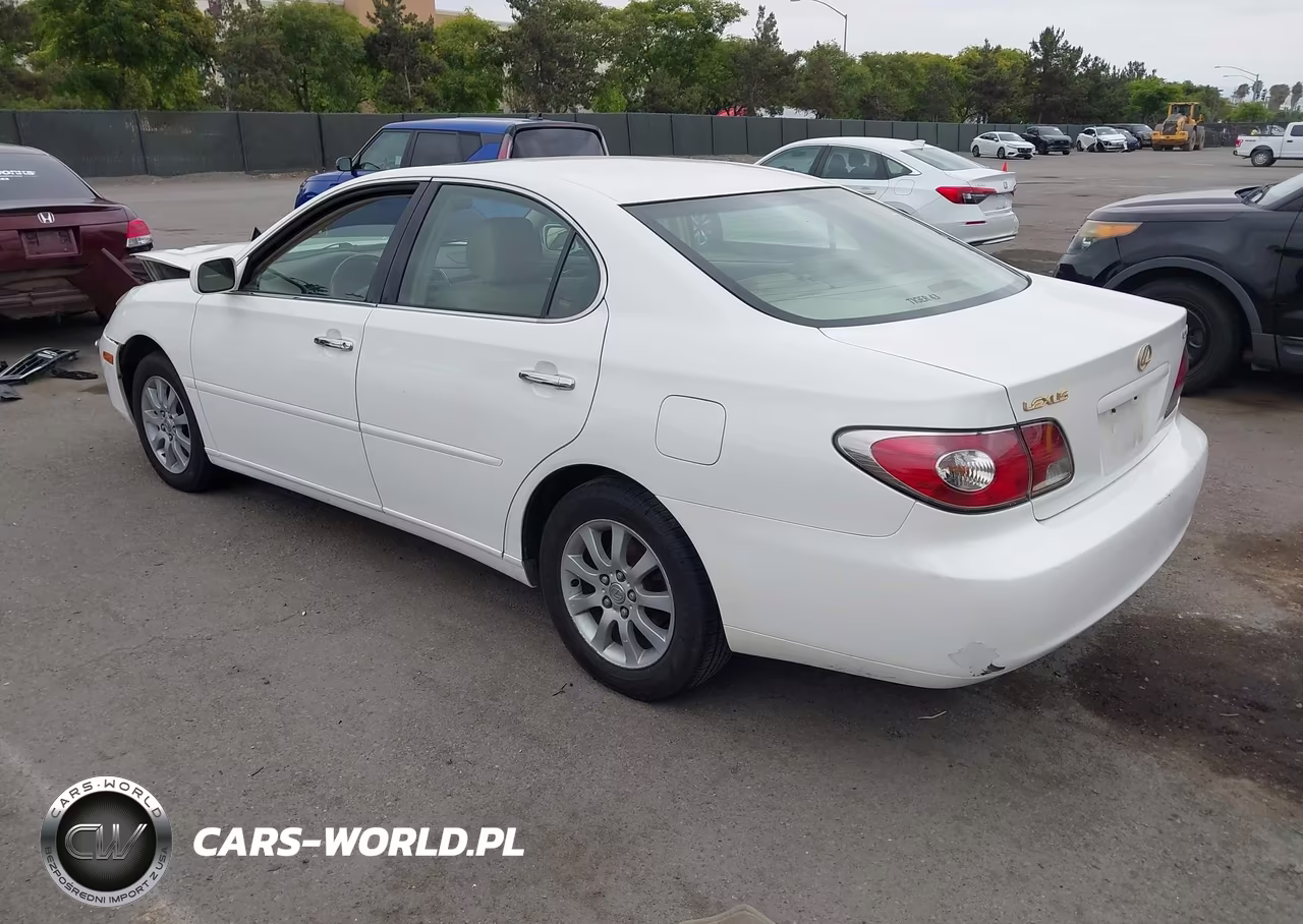 2004 Lexus Es 330 VIN:JTHBA30G745009919 - 3