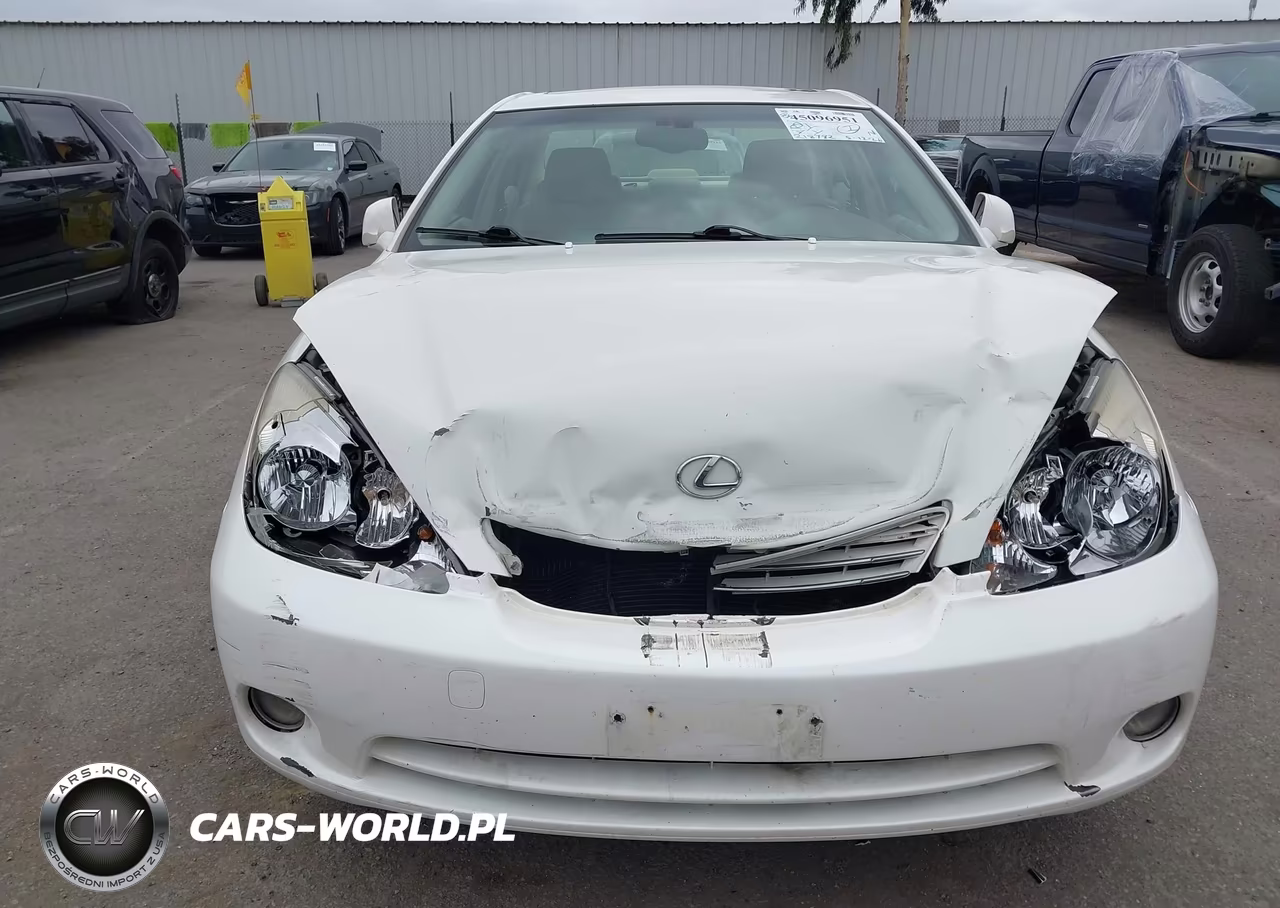 2004 Lexus Es 330 VIN:JTHBA30G745009919 - 6